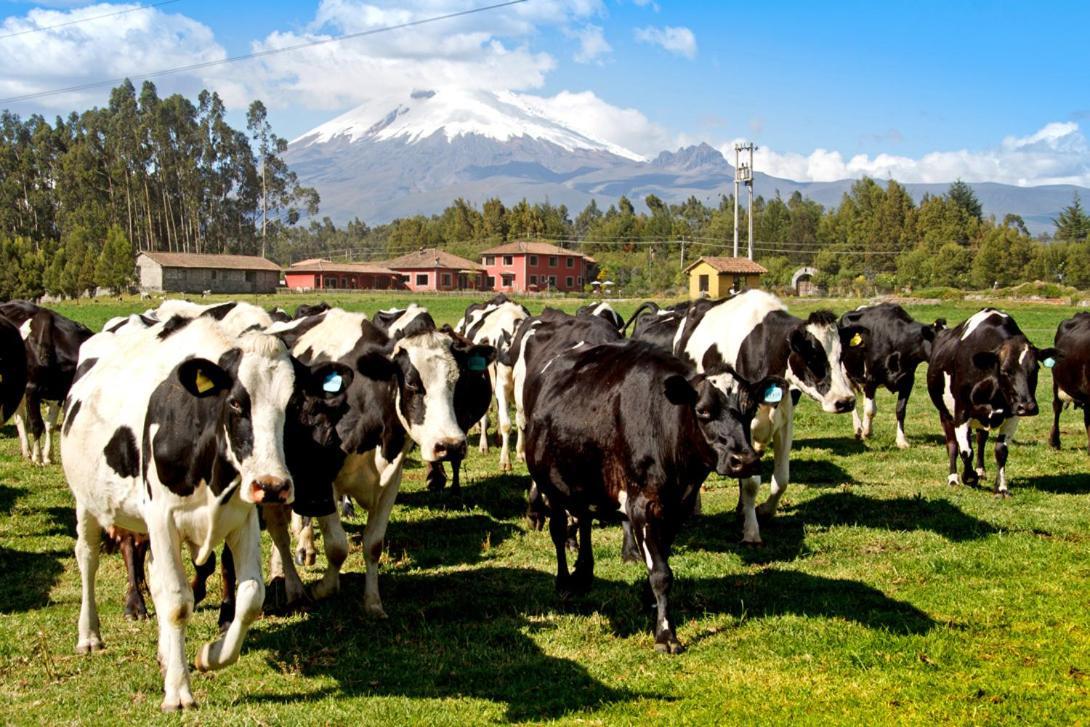 Hacienda Hato Verde Mulaló Exteriör bild